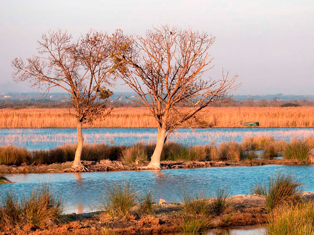 photographie camargue